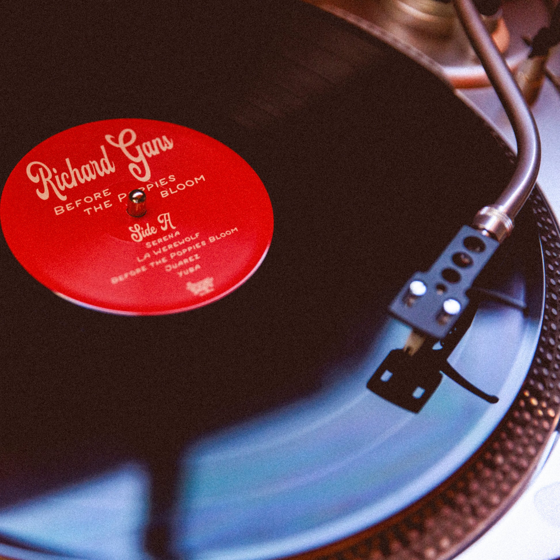 Richard Gans Before the Poppies Bloom 12" Vinyl Record