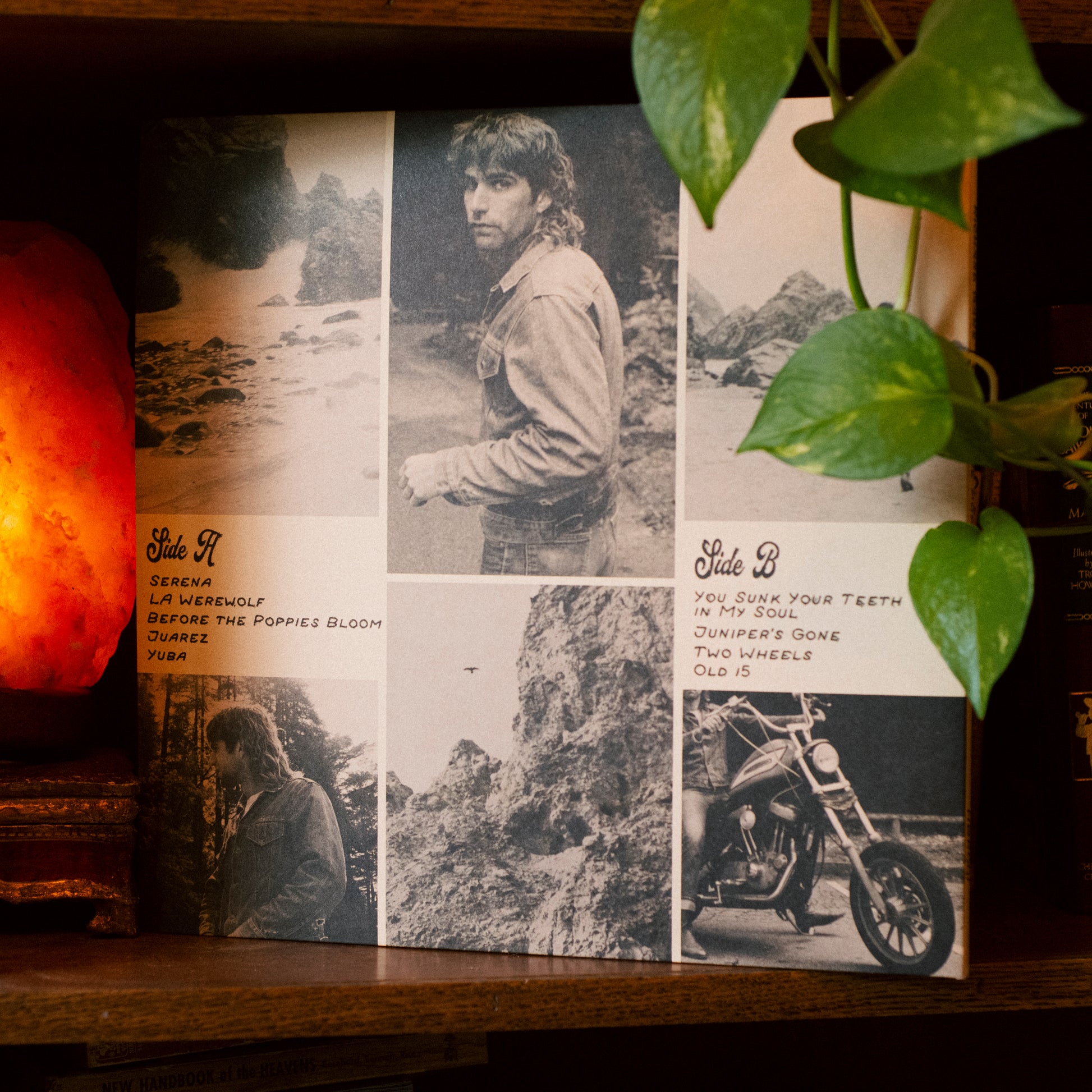 Richard Gans |PRE-ORDER| Before the Poppies Bloom 12" Vinyl Record